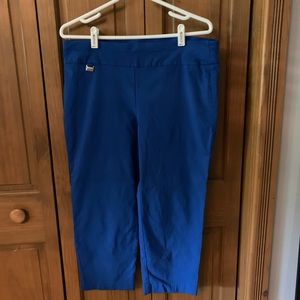 Alfani Crop Pants (dressy/work)